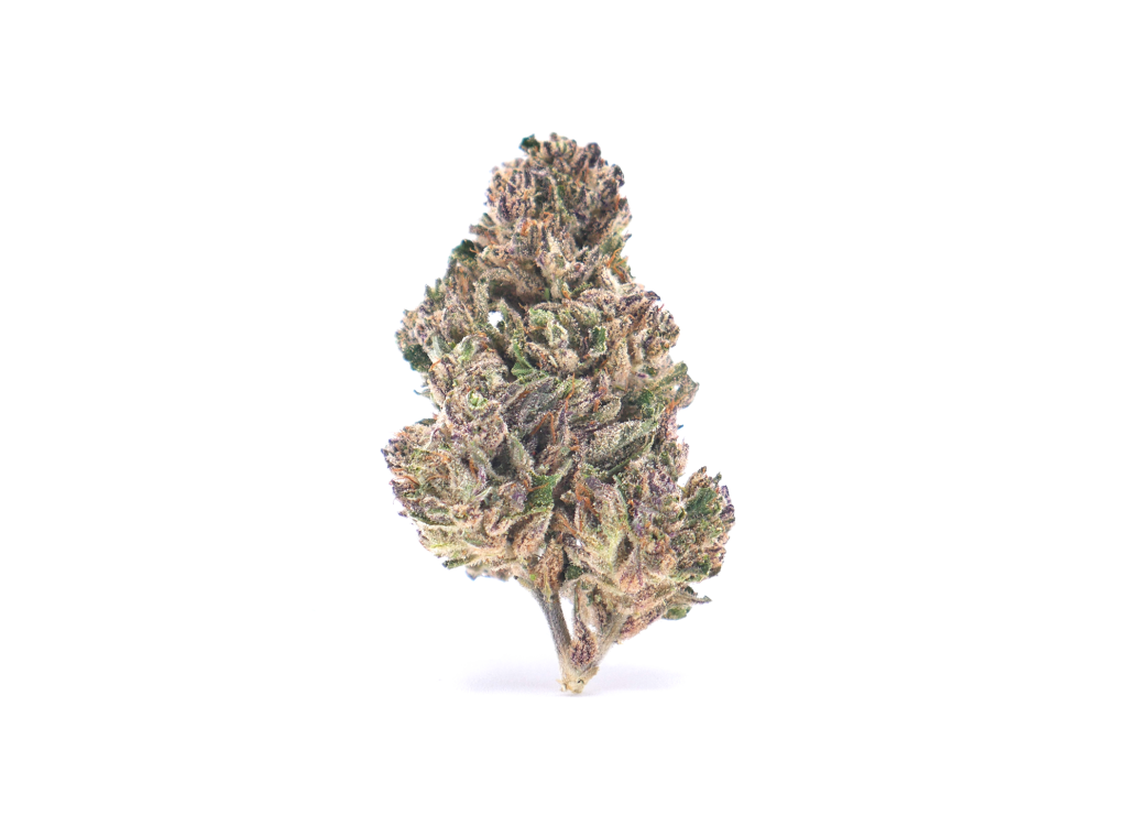 Home blue-cheese-solo