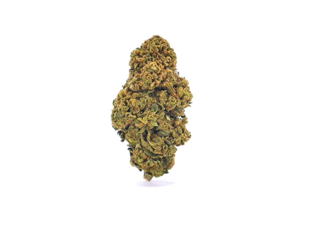 Home cannapunch-solo