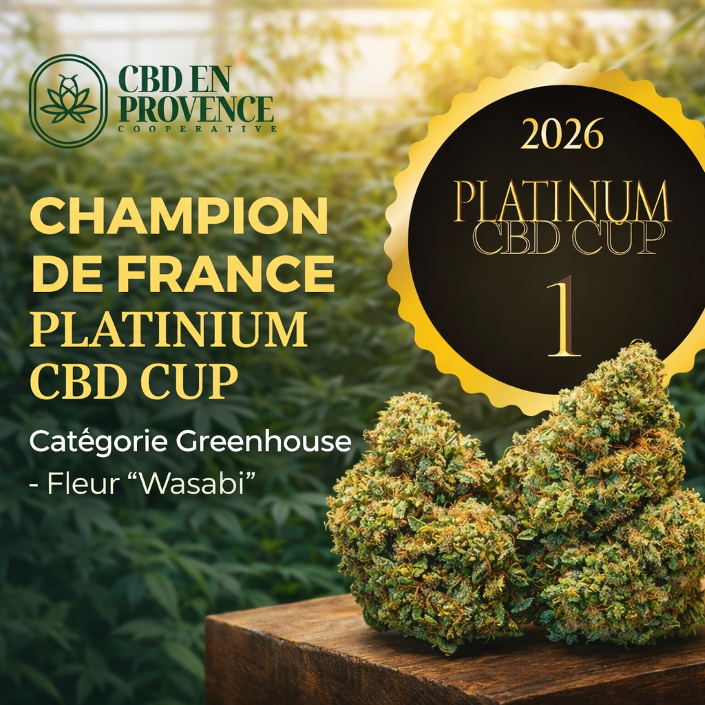 champion de france platinium cbd cup